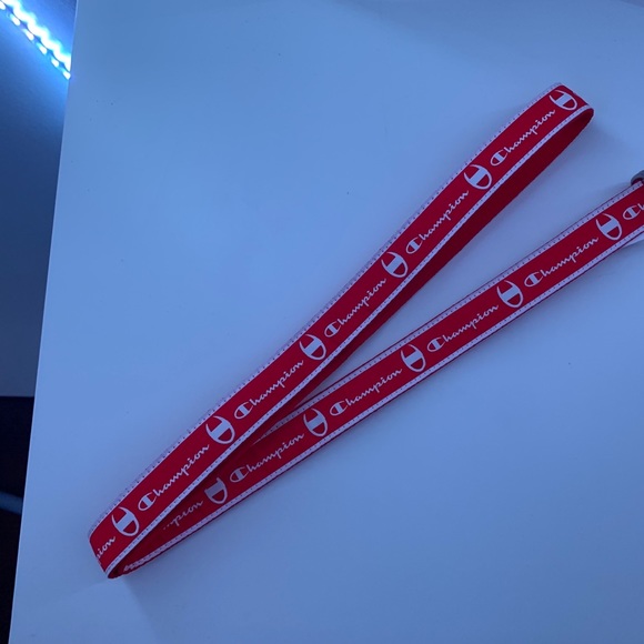 Champion Belt. - Picture 1 of 3